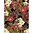 Papel arroz Cadence 742 "Collage Flores"