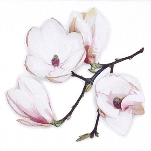 Servilleta DM12 "White Magnolia"
