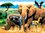 Pintar por números "Animales Africanos 13pz